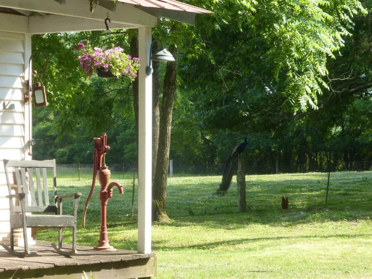 Mulberry Lavender Farm And B&B Exterior foto